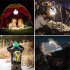 Solar Camping Lantern Collapsible Portable Tent Lamp With Hanging Hook LED Football Bulbs Waterproof For Emergency Outages battery   USB cable