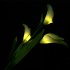 Solar Energy Powered 3 Plastic Artificial Calla Lily 3 LEDs IP55 Outdoor Decorative Light Courtyard Lamp