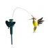 Solar Fluttering Hummingbird  Feather Wings and Tail Flying Hummingbird