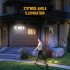 Solar LED Wall Lights  2500 Lumens  IP65 Waterproof  High Brightness  No Light Decay LED Solar Outdoor Sunlight Lamp For Home  Garden  Porch Three head split 12