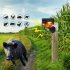 Solar Nocturnal Animal Alarm Detector Solar Infrared Motion Alarm Detector with RC Built in 13 Sound Effects N911S Red 