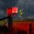 Solar Nocturnal Animal Repeller With Red LED Lights Built in 6 Sound Effects And Recordings IP55 Waterproof Raccoon Animal Repellent For Garden Farm N911L can r