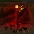 Solar Nocturnal Animal Repeller With Red LED Lights Built in 6 Sound Effects And Recordings IP55 Waterproof Raccoon Animal Repellent For Garden Farm N911L can r