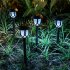 Solar Pathway Lights Outdoor 10 Pack Waterproof Auto On Off Outdoor Solar Lights For Yard Landscape Path Lawn Patio Walkway Brown   colorful