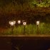 Solar Pathway Lights Outdoor 10 Pack Waterproof Auto On Off Outdoor Solar Lights For Yard Landscape Path Lawn Patio Walkway Brown   colorful