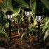 Solar Pathway Lights Outdoor 10 Pack Waterproof Auto On Off Outdoor Solar Lights For Yard Landscape Path Lawn Patio Walkway Brown   colorful