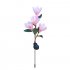 Solar Powered Light Magnolia Flower Shape 4 LEDS Garden Lighting Outdoor Landscape Light pink color white light