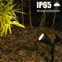 Solar Powered Spotlight 4LED Lamp Waterproof Solar Spotlight In Ground Landscape Wall Light Outdoor Lighting white light