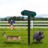 Solar Ultrasonic Animal Repeller Ultrasonic Deer Repellent Devices With 5 Gears Outdoor Repellent System For Cat Dog Raccoon Fox Skunk Rabbit Squirrel N911WEngl