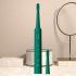 Sonic Electric Toothbrush 3 speed Smart Timer Usb Rechargeable Whitening Toothbrush With 2 Brush Head Green