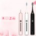 Sonic Electric Toothbrush Professional 6 speed Universal Waterproof Usb Rechargeable Tooth Brush Oral Care Pink