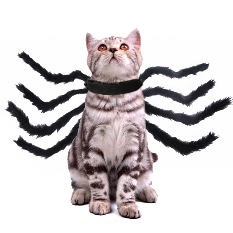 Spider Shape Clothes Pet Halloween Christmas Chest Back Strap Costume for Small Dogs Cats black_S