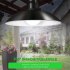 Split Solar  Chandelier Remote Control Outdoor Wall Light For Garden Street White light