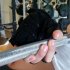 Sports Weight Lifting Workout Gloves With Wrist Wraps For Men Women Fitness Gloves For Gym Training Hand Support Weightlifting L