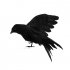 Spreading Wings Realistic Crows Props Perfect Halloween Scene Decoration