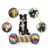 Squeaky Dog Toys Cute Candy Dumbbell Shaped Chew Toys For Dogs Indoor Play Interactive Dog Toys For Small Medium Large Dogs color