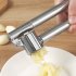Stainless Steel Garlic Press with Ergonomic Handle for Kitchen Gadgets Cooking Tools as shown 155   50   30MM