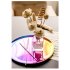 Stainless Steel Rainbow Round Serving Tray Dinner Serving Dish Cosmetics Jewelry Organizer  color