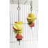 Stainless Steel Small Parrot Toy Meat Kabob Food Holder Stick Fruit Small Animal Skewer Bird Treating Tool  S 12cm