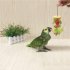Stainless Steel Small Parrot Toy Meat Kabob Food Holder Stick Fruit Small Animal Skewer Bird Treating Tool  S 12cm