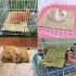 Straw Woven Pet Chew Mat Pad Pet House Cage Accessories For Hamster Rabbit Chinchilla Guinea Pig straw Small 28x20