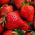 Strawberry Flower Seed Fruit Herb Seed 6g