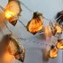 String Lights Warm White Lighting Lovely Beach String Light Battery Operated for Holiday Wedding Home Window Decoration  Fat conch