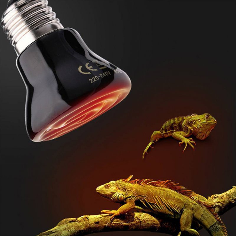 Wholesale Stylish Durable Mini Ceramic Heater for Reptiles and Amphibians 100W From China