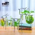 Stylish Transparent Creative Plant Glass Container Simple Fawn Single Bottle Flower Pot Desk Decor