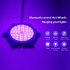 Submersible LED Lights With APP Control  Music Sync Color Changing 12V Pool Lights With Magnets   26ft Cord  IP68 Waterproof Wall Mounted Light For Pool  US Plu