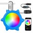 Submersible LED Lights With APP Control  Music Sync Color Changing 12V Pool Lights With Magnets   26ft Cord  IP68 Waterproof Wall Mounted Light For Pool  US Plu