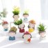 Succulent Plants Planter Pot Mini Couples Bonsai Cactus Flower Pot for Home Office Mall Decoration
