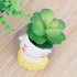 Succulent Plants Planter Pot Mini Couples Bonsai Cactus Flower Pot for Home Office Mall Decoration