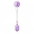 Suction Cup Dog Toy Tug Of War Rope Dog Toy Durable Grip Bite Resistant Super Strong Suction Interactive Pull Dog Toys For Teeth Cleaning Shark Suction Cup Ligh