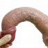 Suction Cup Realistic Dildos 8 Inches Silicone Fake Penis Lifelike Real Skin like Feel Adult Sex Toys