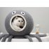 Summer Cute Cartoon Octopus Shape Cat Deep Sleep House Bed Nest