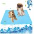 Summer Ice  Pad For Pet Cold Feeling Sofa Cushion Car Seat Cover 70 55cm Dog Cat Cool Cushion Blue L size