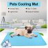 Summer Ice  Pad For Pet Cold Feeling Sofa Cushion Car Seat Cover 70 55cm Dog Cat Cool Cushion Blue L size