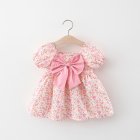 Summer Princess Dress For Girls Short Sleeves Sweet Floral Printing With Bowknot Dress For 0-4 Years Old Kids pink 0-1Y 73CM