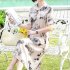 Summer Short Sleeves Dress For Women Elegant Floral Printing Large Size Midi Skirt Casual Round Neck Chiffon Dress Khaki 6XL