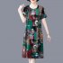 Summer Short Sleeves Dress For Women Retro Digital Printing Round Neck A line Skirt Loose Pullover Dress red 3XL