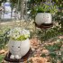 Swing Smile Face Planter Pots  Wall Hanging Planters Small Succulent Pot  Creative Succulents Plants Pot Basket  Hanging Resin Flower Planters  For Indoor Outdo