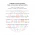 T10 Pro Smart Voice Language Translator Device High Accuracy Real Time Translator with 2 4inch Touch Screen WIFI Translator