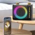 T203 Karaoke Machine With 2 Microphones TF Card U Disk Player Portable Speaker Studio Subwoofer For Outdoor Party Meeting black