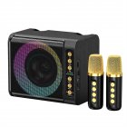 T203 Karaoke Machine With 2 Microphones TF Card U Disk Player Portable Speaker Studio Subwoofer For Outdoor Party Meeting black