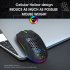 T66 2 4G Wireless Mouse Ergonomic High Precision Mice Portable Honeycomb  Mouse 3600 DPI RGB Lighting Rechargeable Mice White