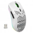T66 2.4G Wireless Mouse Ergonomic High Precision Mice Portable Honeycomb Mouse 3600 DPI RGB Lighting Rechargeable Mice White