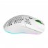 T66 2 4G Wireless Mouse Ergonomic High Precision Mice Portable Honeycomb  Mouse 3600 DPI RGB Lighting Rechargeable Mice White