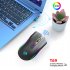 T69 Wireless Mouse Ergonomic RGB Luminous Wireless Silent Mouse 2 4GHz USB Cordless Mouse Adjustable DPI Rechargeable Wireless Mouse For Computer PC Laptop blac