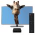 THL BOX 1 TV Box makes and HDMI screen into a smart TV with Android 7 1  4K resolutions and Kodi you ll enjoy hours of entertainment for the whole family